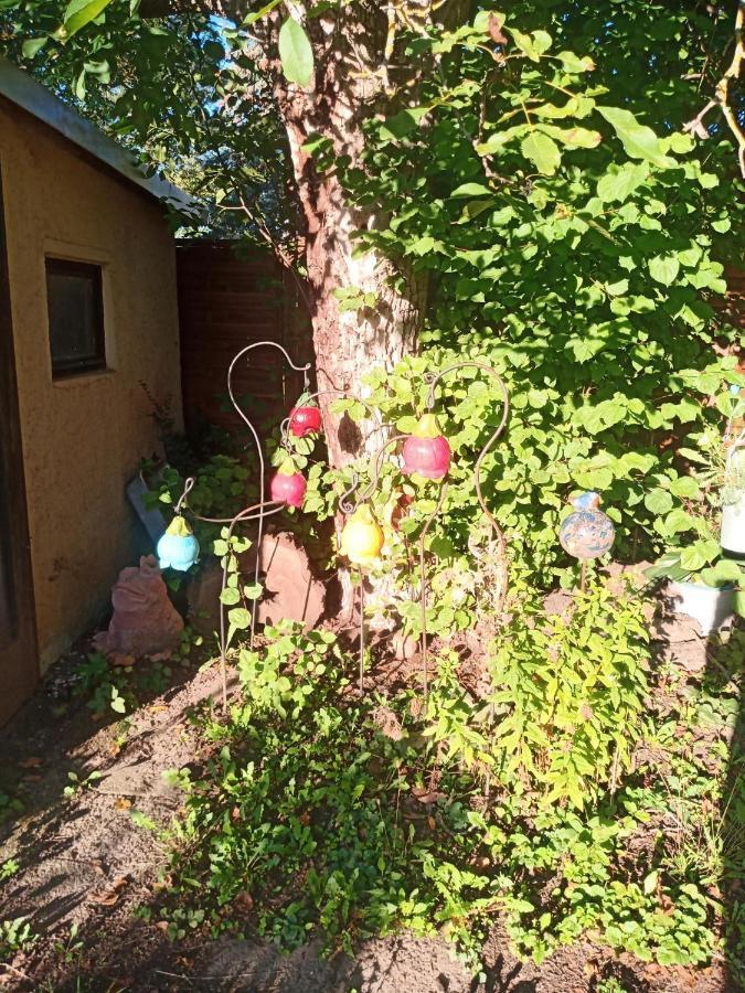 WeißenfelsLinas Toepferhofアパートメント エクステリア 写真